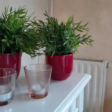 Ruim Familie Tot 4 Personen Op De Veluwe Bungalowpark De Kern *