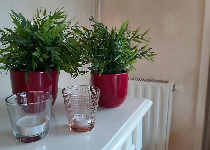 Ruim Familie Tot 4 Personen Op De Veluwe Bungalowpark De Kern *